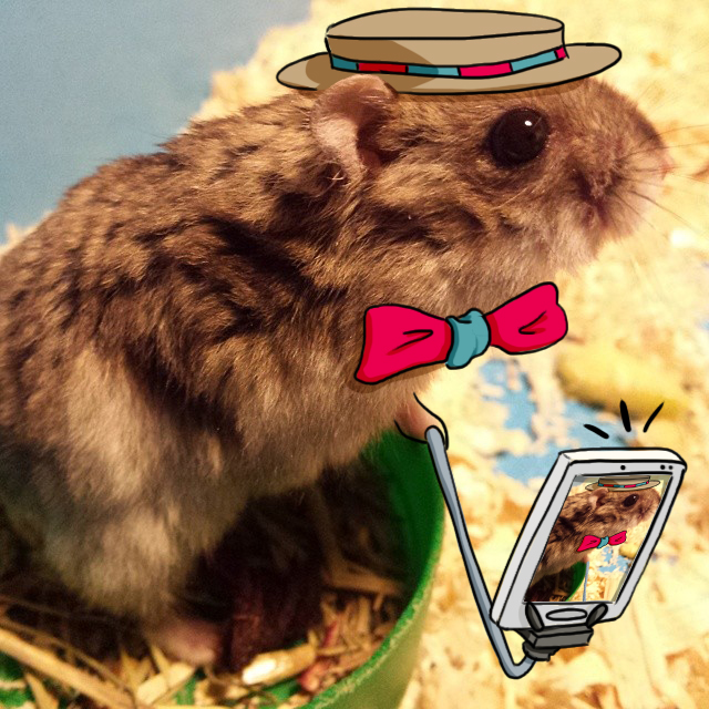 Insta-Draw 1: The hamster Andreu taking a selfie